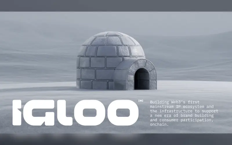 Skärmbild av webbplatsen Igloo